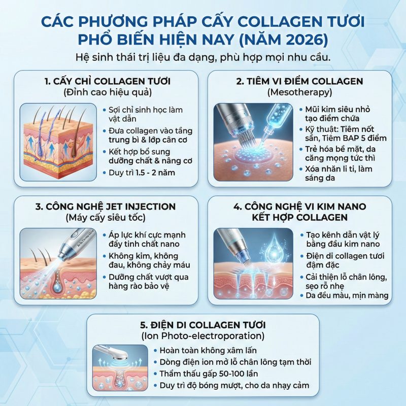 Cấy Collagen Tươi Là Gì? Giải Thích Toàn Diện Từ A–Z (Cập Nhật 2026) Các phương pháp cấy collagen tươi