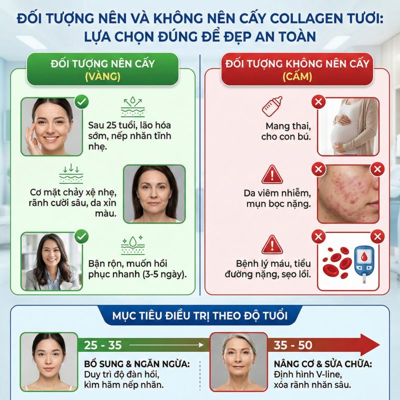 Cấy Collagen Tươi Là Gì? Giải Thích Toàn Diện Từ A–Z (Cập Nhật 2026) Đối tượng nên và không nên cấy collagen tươi