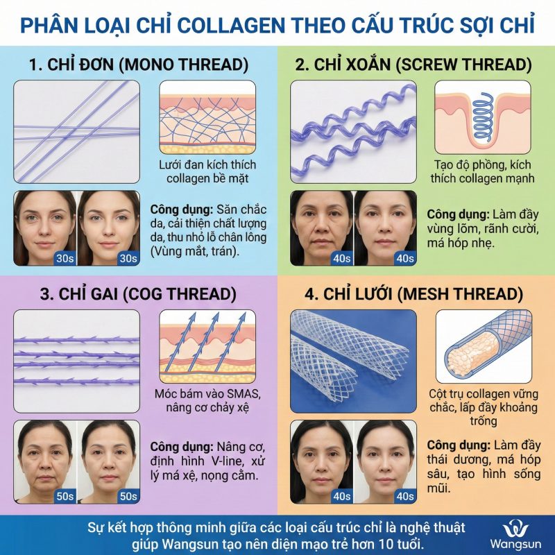 Phân loại chỉ collagen theo cấu trúc sợi chỉ