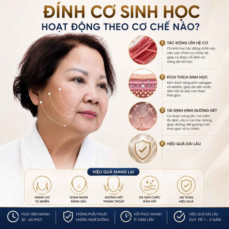 Đính Cơ Sinh Học Là Gì? Cơ Chế Tác Động Và Ai Phù Hợp? Đính cơ sinh học hoạt động theo cơ chế nào