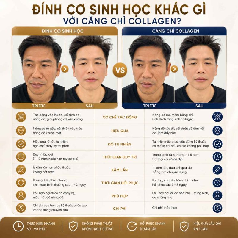Đính Cơ Sinh Học Là Gì? Cơ Chế Tác Động Và Ai Phù Hợp? Đính cơ sinh học khác gì căng chỉ collagen